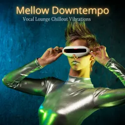 Mellow Downtempo Vocal Lounge Chillout Vibrations