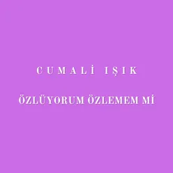 Özlüyorum Özlememmi