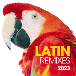 Latin Remixes 2023