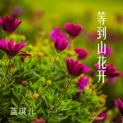 等到山花开