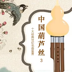 中国葫芦丝十大经典世纪名曲鉴赏 3