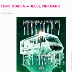 Jesse Pinkman 2