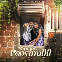 Panineer Poovinullil