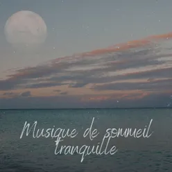 Musique de sommeil tranquille, pt. 14