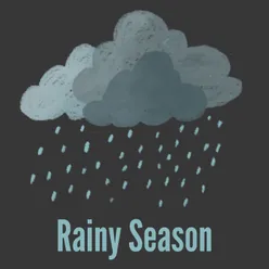 Rainy Season, Pt. 17