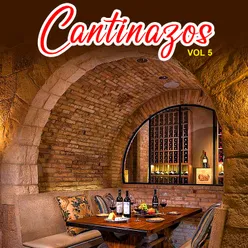 Cantinazos, Vol.5