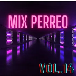 Mix PERREO 2020 #14 - TWERKEA, PERREA♫ ✘Dj L30
