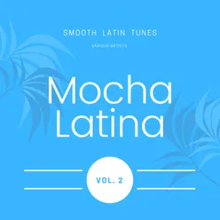 Mocha Latina (Smooth Latin Tunes), Vol. 2