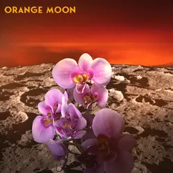 Orange Moon