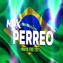 MIX PERREO BRASILEÑO 2021 - Lo mejor del remix♫ Dj L30