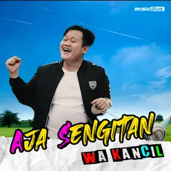 Aja Sengitan