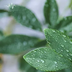 谷风细雨