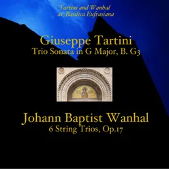 Trio Sonata in G Major, B. G3: II. Andante