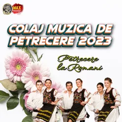 Muzica de Petrecere 2023 Colaj Super Program Sarbe Hore 2023 Colaj 2023 Program