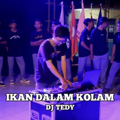 Ikan Dalam Kolam