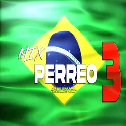 MIX PERREO BRASILERO 2023 VOL.3