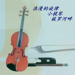 樱花恋