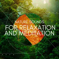 Nature Sounds for Relaxation and Meditation