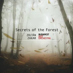 Zoltán Zakar: Secrets of the Forest
