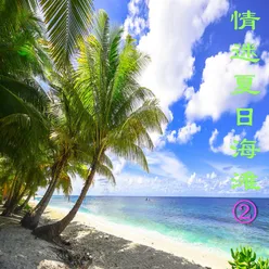 情迷夏日海滩 2