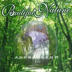 大自然休闲音乐系列-竹 2