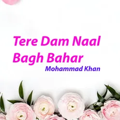 Tere Dam Naal Bagh Bahar