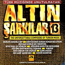 Altın Şarkılar 13