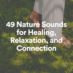 49 Nature Sounds for Healing, Relaxation, and Connection
