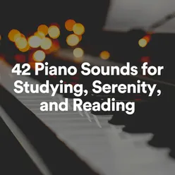 Bountiful Piano Sounds, Pt. 1