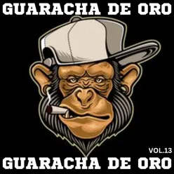 GUARACHA DE ORO VOL.13
