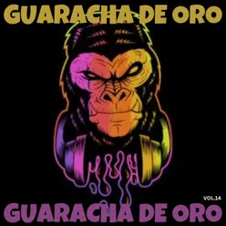 GUARACHA DE ORO VOL.14