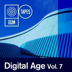 GTP241 Digital Age, Vol. 7