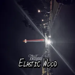 Elastic Wood