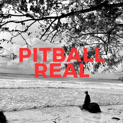 Pitball Real
