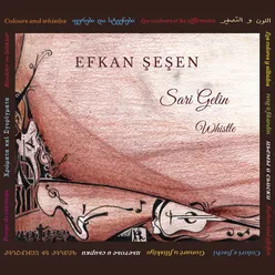 Sari Gelin - Whistle