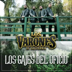 Los Gajes del Oficio