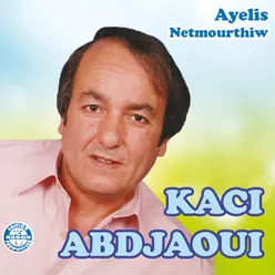 Ayelis netmourthiw