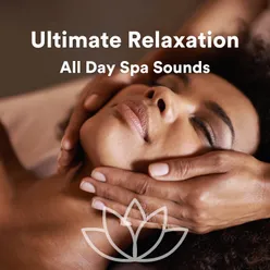 Ultimate Relaxation All Day Spa Sounds, Pt. 8