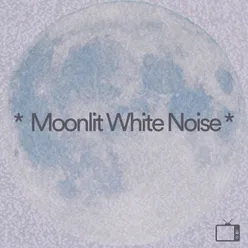 Moonlit White Noise, Pt. 8