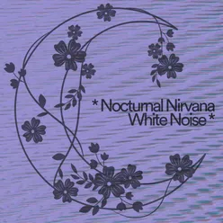 Nocturnal Nostalgia with White Noise
