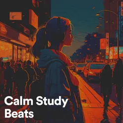 Calm Study Beats
