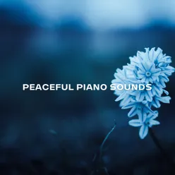 Peaceful Piano Sounds