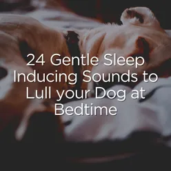 Ultimate Calm Meditative Music for your Dog, Pt. 1