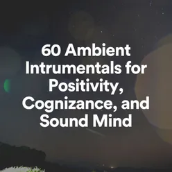 60 Ambient Intrumentals for Positivity, Cognizance, and Sound Mind