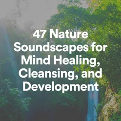 47 Nature Soundscapes for Mind Healing, Cleansing, and Development