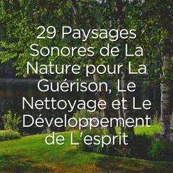 29 Paysages Sonores de La Nature pour La Guérison, Le Nettoyage et Le Développement de L'esprit