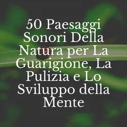 50 Paesaggi Sonori Della Natura per La Guarigione, La Pulizia e Lo Sviluppo della Mente