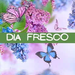 DIA FRESCO