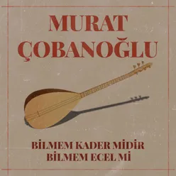 Deşildi Bir Çoban Gece Yarısı