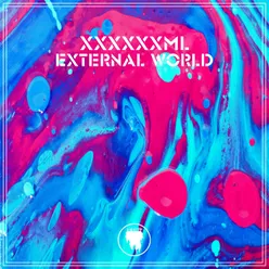 External World